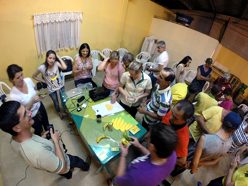 Apresentação das propostas à cooperativa.